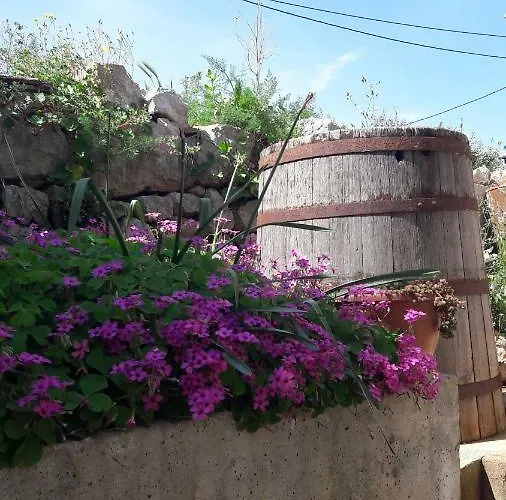 Bacvar 32 Apartmán Kali